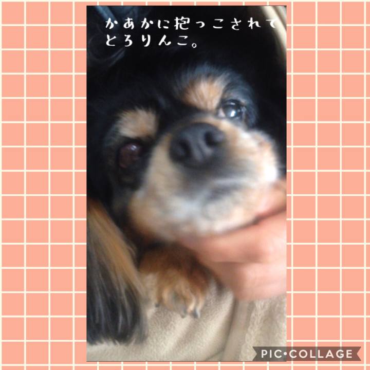 A55b082f 933d 4247 bf31 0d4b3ef0467c 1540643642230