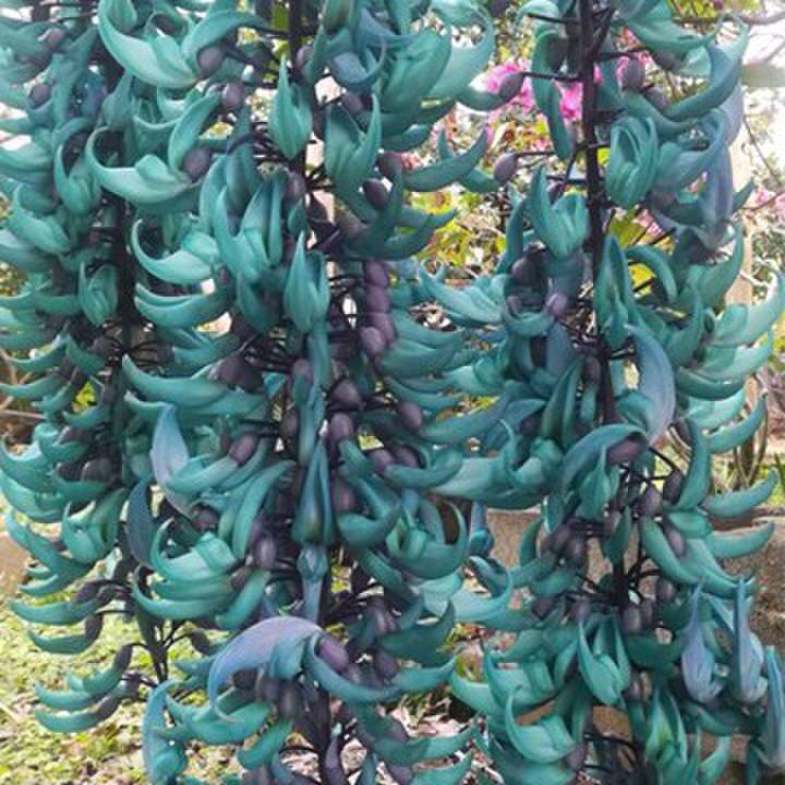 A55b09bf feae 45a3 b2bf ca909d0480c0 1583304317774