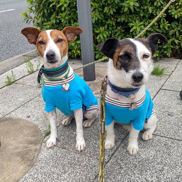 A55bc3bc 15bc 421b b9e1 ba33a626cac6 1712878047029