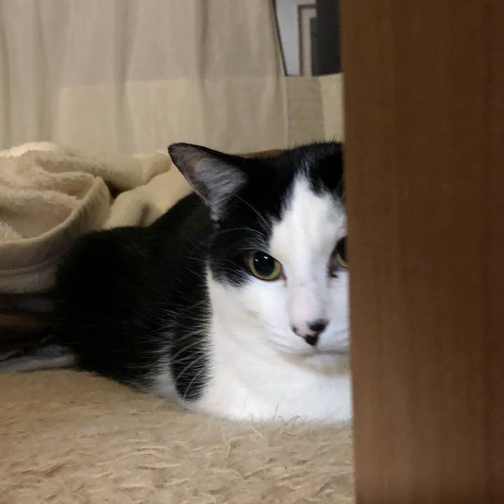 A55bf4d1 99f8 4ec7 9678 77ade05f0155 1548245388290