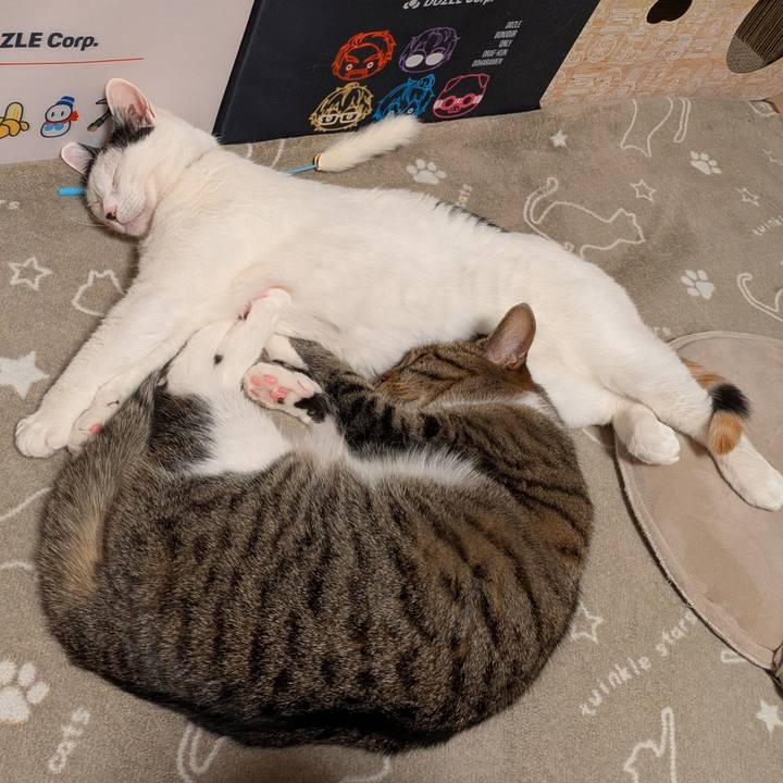 A55bfde1 c621 4970 9355 b84b4ea69ee2 1740985418492