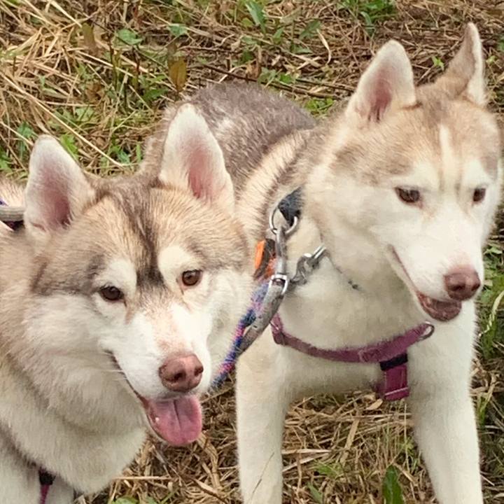 A55c1b01 5e5f 415f 8f54 38c7a86318e8 1572784296528