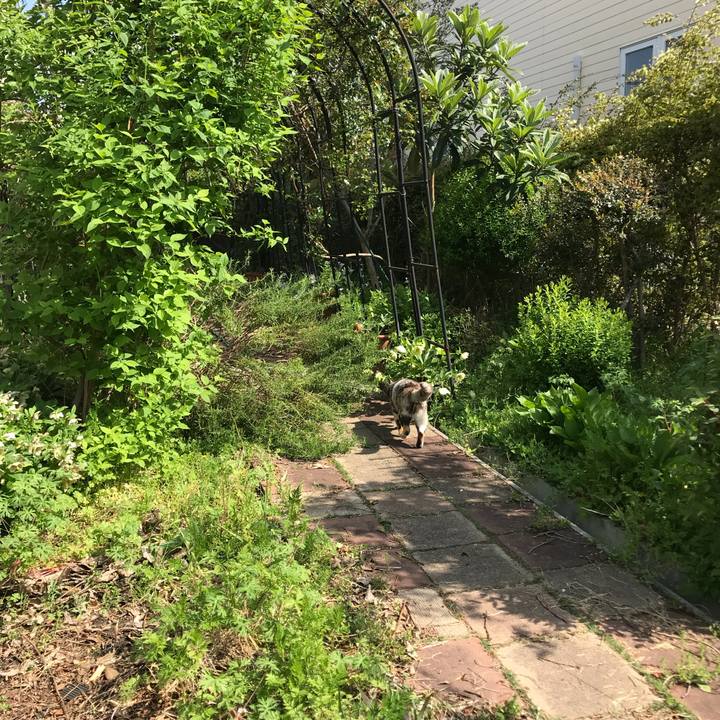 A55c1c9c 972a 430d 87b8 28439cc3a470 1523150044785