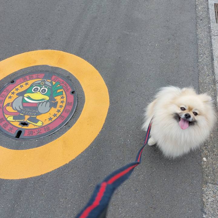 A55c3498 1bf2 4c31 bef5 80c7ec175095 1714561543049