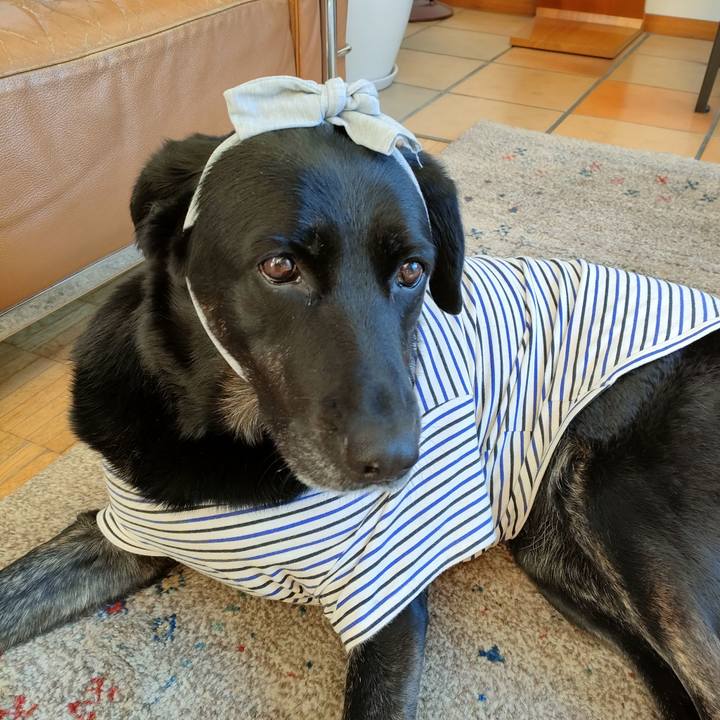 A55c43b5 323d 4f65 ae90 bfdf4a381ae9 1676333506584