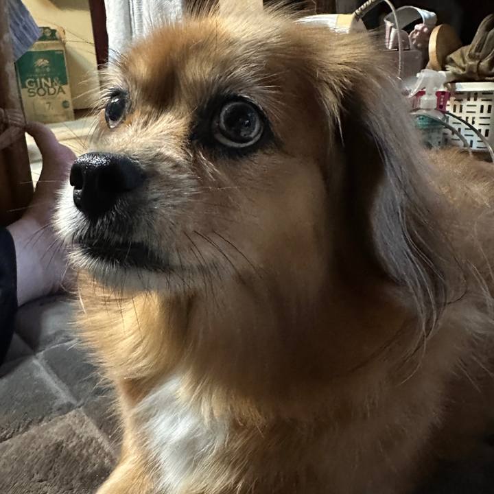 A55cea4d dbc8 480e 86e2 3fbc8006cfee 1729804165176