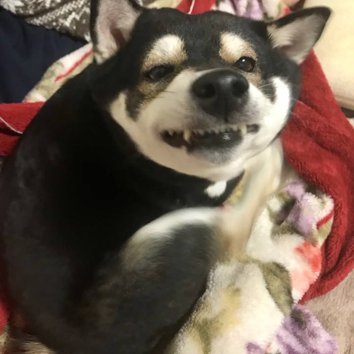 A55cf1dd d085 4084 b312 4c2c7a06add5 1553958240972