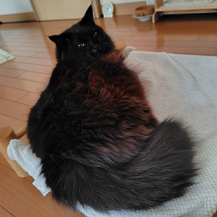 A55d1407 0756 4023 803a 286d327b30e5 1737068052486