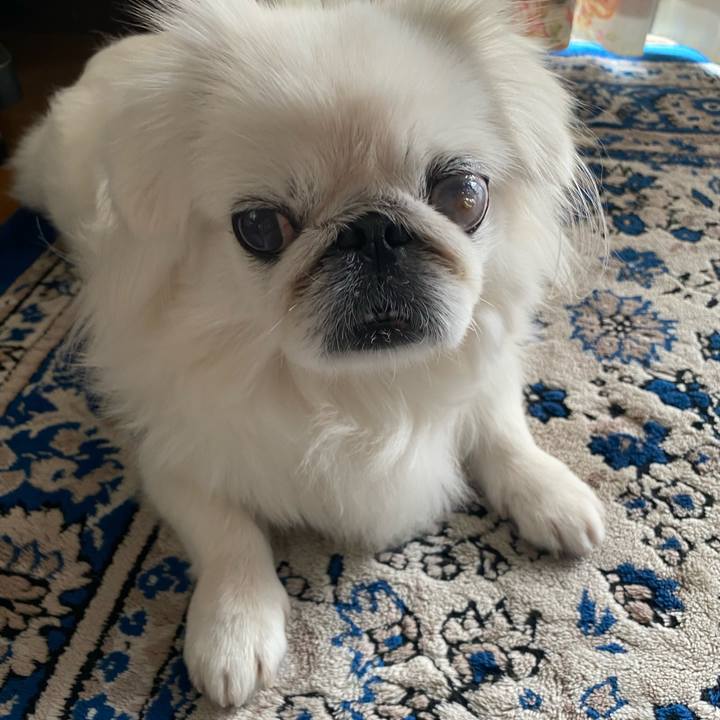 A55d1832 0620 4ad7 9a23 cd2e6b6cc2b4 1634367105157