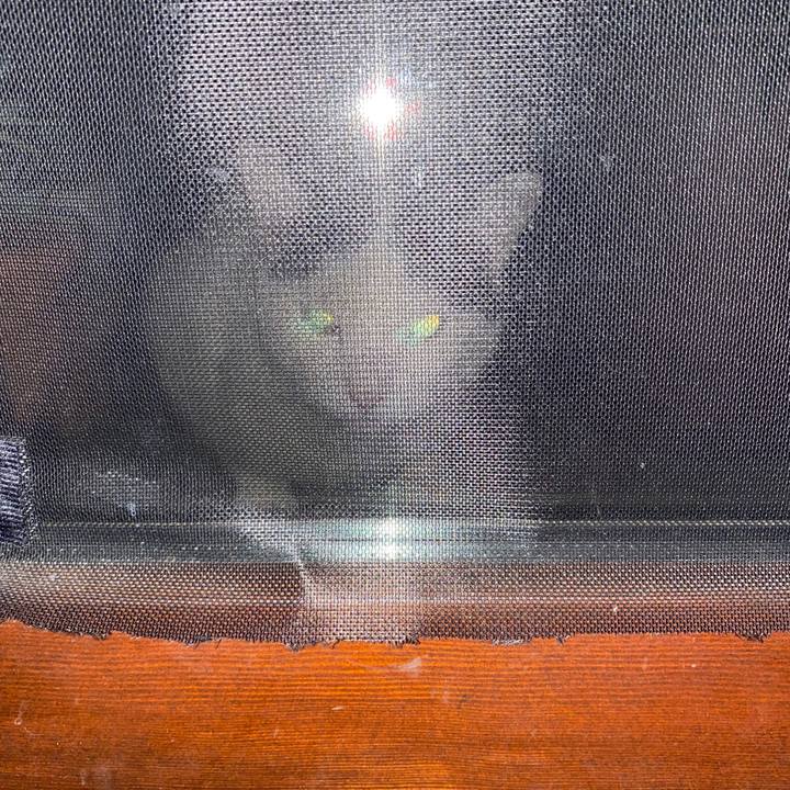 A55d5b47 6b90 4093 9ee8 cfd7f2ecc908 1605458820960