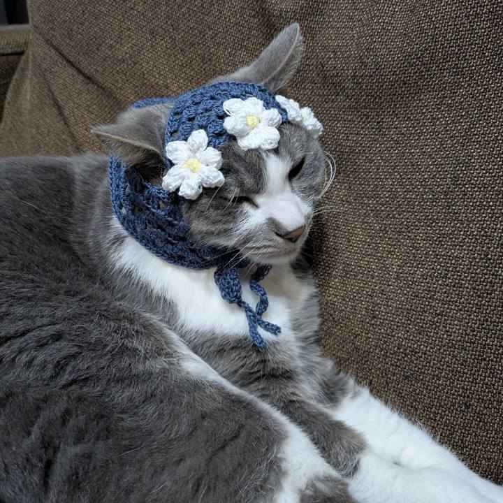 A55dcdd7 f579 449c 943b 60ec45b2e462 1772724582143