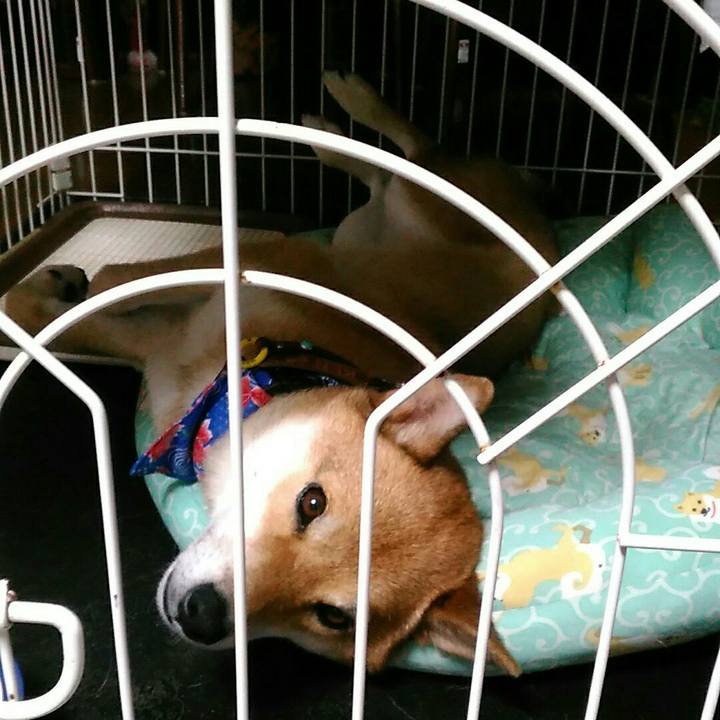 A55e2cf6 35c4 4523 b9df cac855726ec3 1535642271457