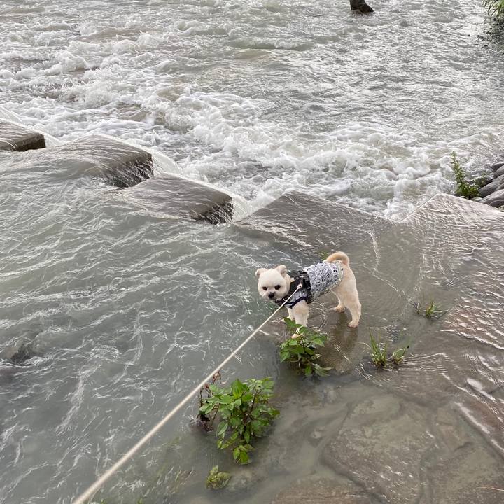 A55e321a bd4a 4135 9ac2 e1a475ca4ea2 1594333756340