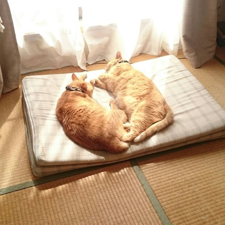 A55e32a5 350e 4eb6 8de1 dffdd98e33dd 1536379728391