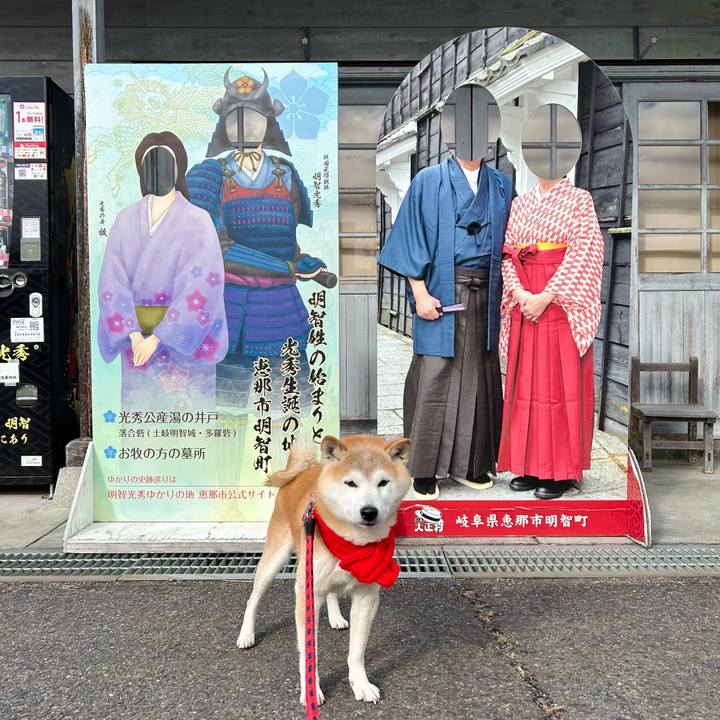 A55e668f 86b3 4738 a82b 1a90ebab7973 1739702465680