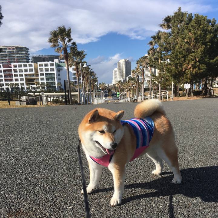 A55ecbe7 d168 4053 972b e4d075227c57 1548476705889