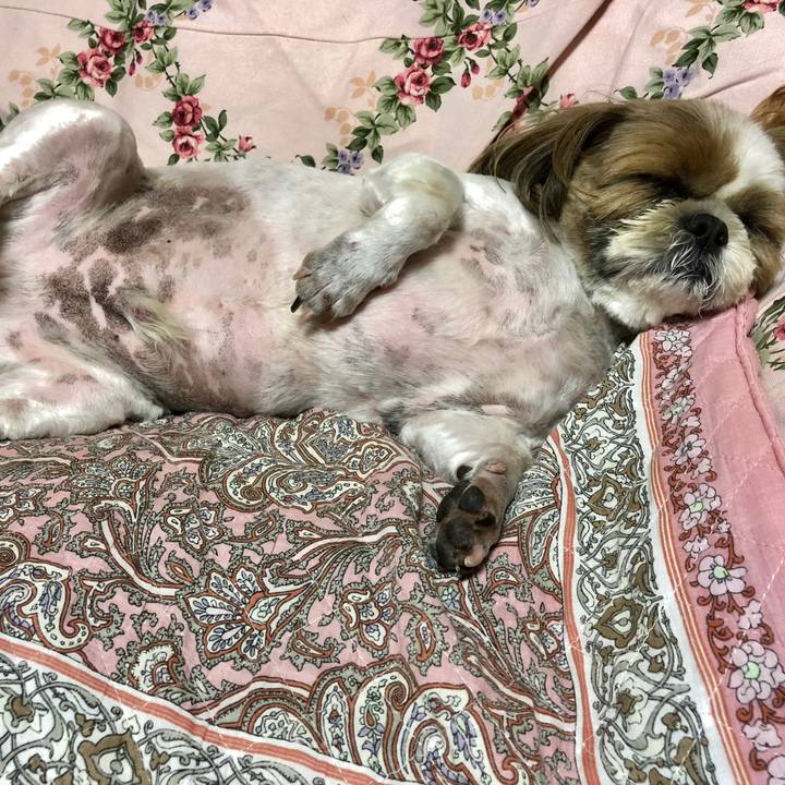 A55eec75 7d5b 496b bb25 0b65c10ffd80 1529933915044