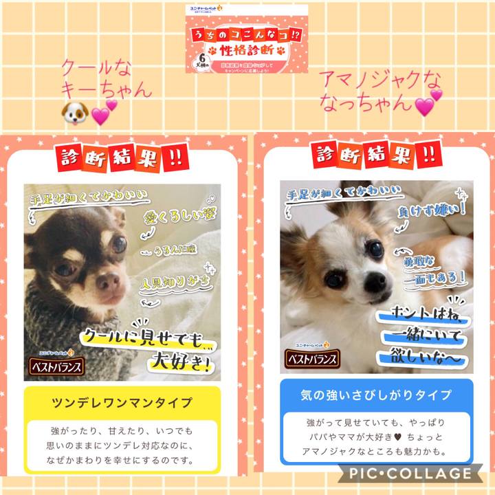 A55ef507 7baf 44e8 9645 05adfc8bd5d1 1542092286347