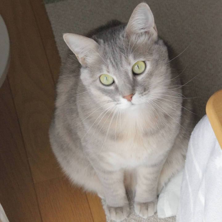 A5600f20 f902 46aa ab74 60cf06709d36 1610267259752