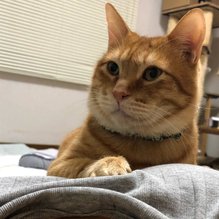 A56049cd 9fa3 4db5 a2ff c5137f51dd81 1580561070729