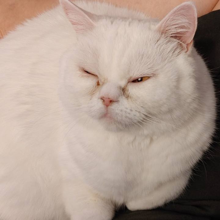 A5605e74 d887 4665 a443 1dbf5e9ac93c 1616817554101