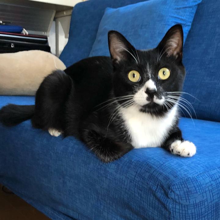 A560a413 41c3 4f86 ad08 ba92de5ab6fd 1535340738499