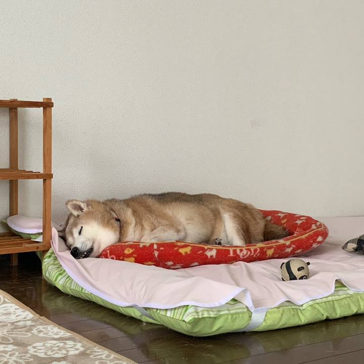 A560e69d f9fe 4e7d 950f ac1022986c22 1661057624646