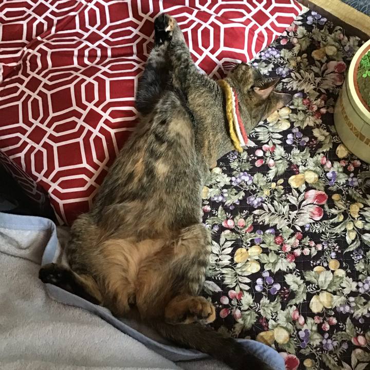 A5610682 9e5b 4b2f a7ec 92261f6ec051 1623194409697