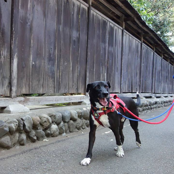 A5610aa6 cec0 4839 b67b 65a211ce0dfd 1588294580428