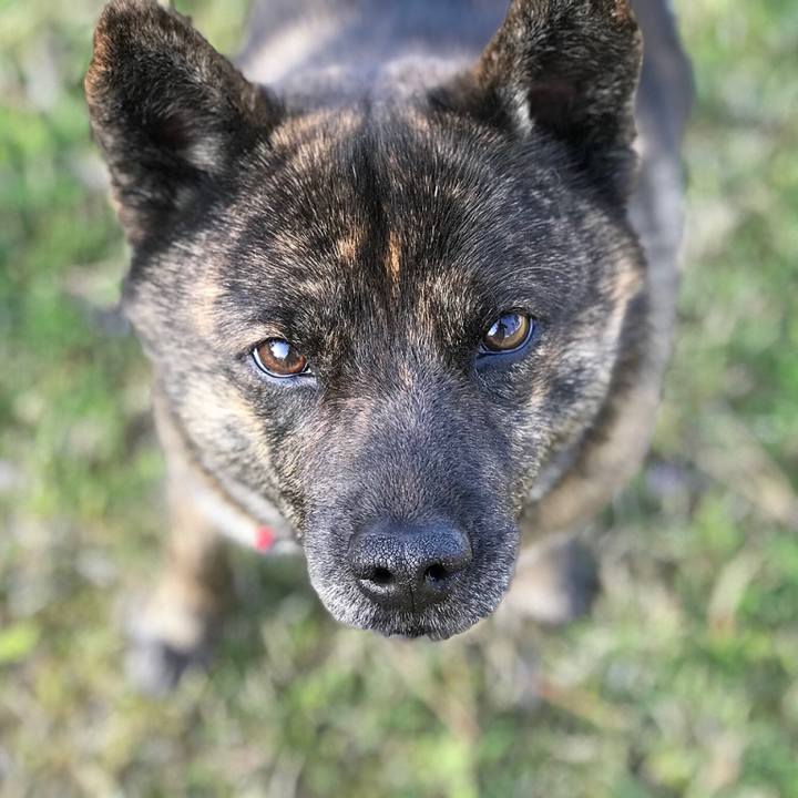 A5613044 a22b 4ab0 b236 1f3918e37613 1523866761936