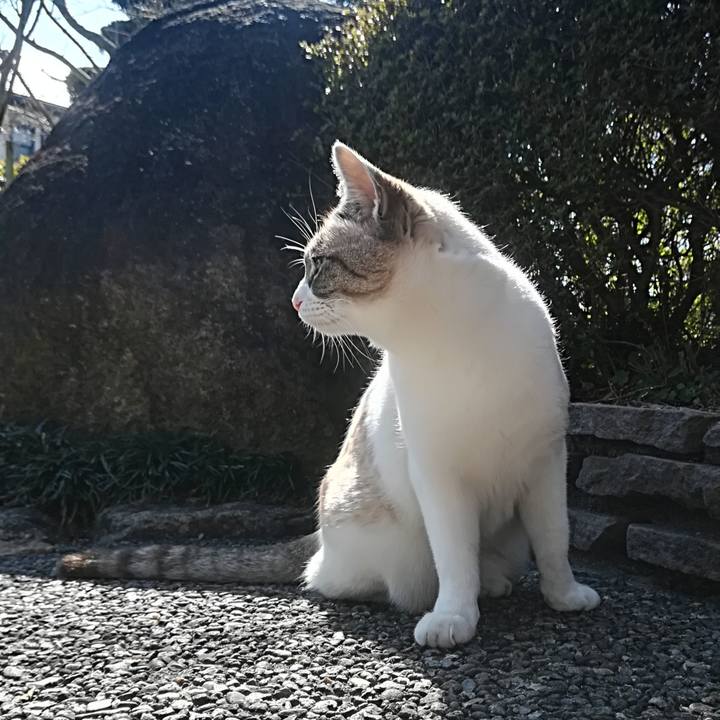 A561409f db3e 4e6f 8b18 37e9d83a9cb8 1520660228765