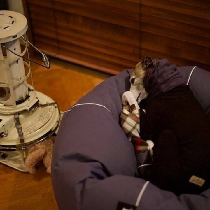 A5614243 f0ee 4585 9c55 76b5852bfdaf 1512558344646