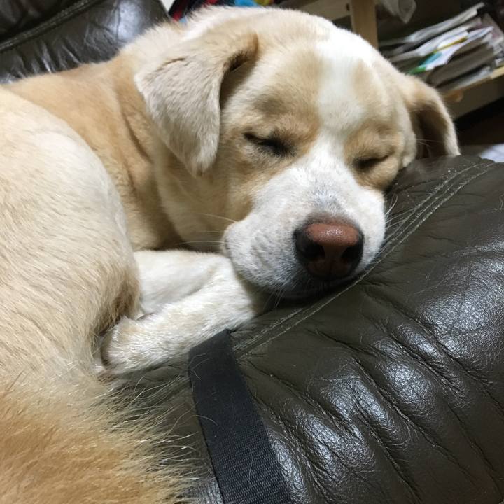 A56165ab 34e0 49be be97 eaa1c4ad780e 1538147971074