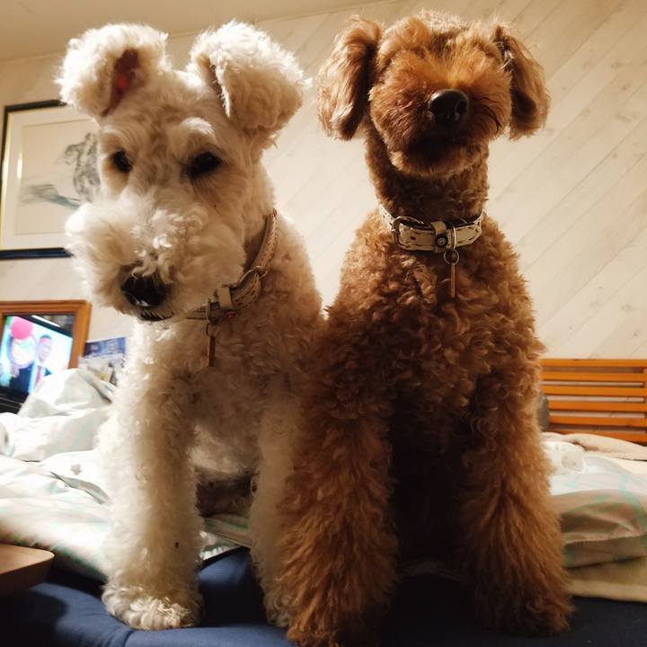 A5616cb2 319d 4cca ab96 8ff5150425cd 1539781722449