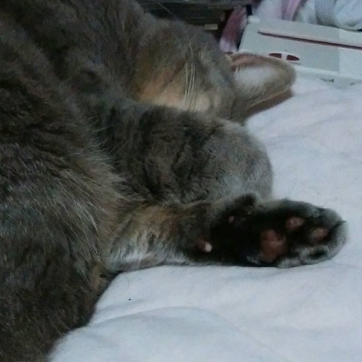 A561868f cf8f 44bd 9c59 6e8ef8ffcbc3 1539786292099