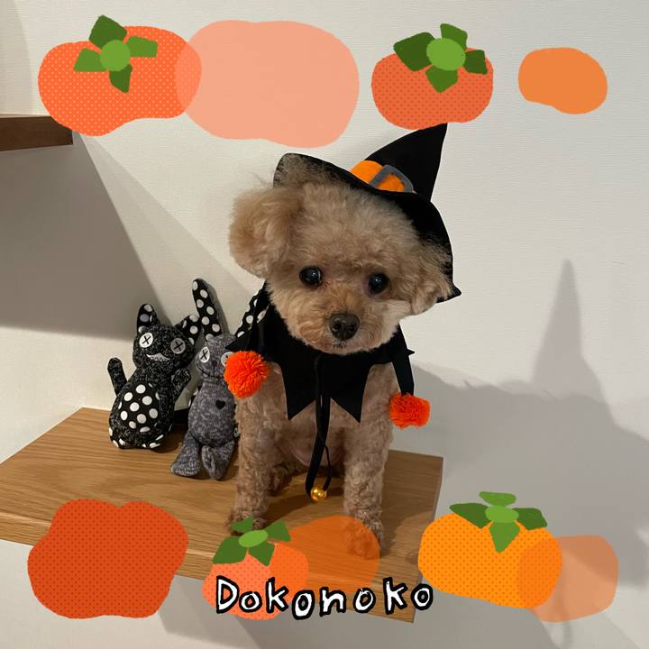 A5619b59 ef2e 4793 b657 416cf519f1e9 1761867223873