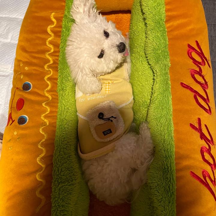 A561b709 aed0 4df4 a252 f1928cdd47a8 1699362590213