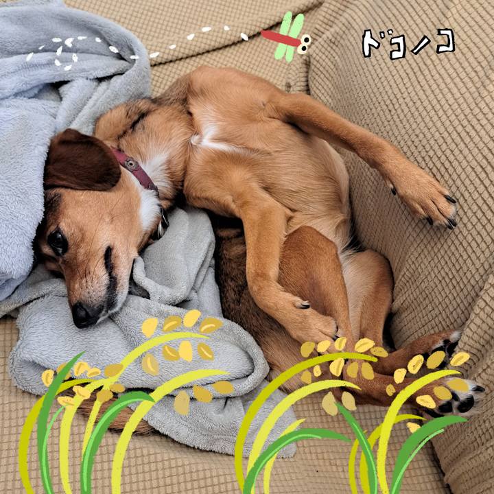 A561cac1 3534 4cc1 ac05 3d0ae5287c65 1761182637500