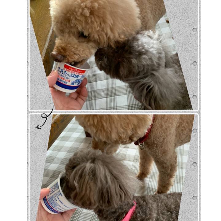 A56204fa 29dc 413f 895a b1d9a720f719 1599085597542