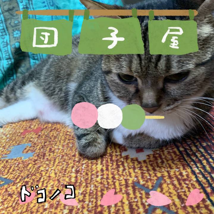 A56225ac c3a6 4b26 8c5b 6d4190d02977 1712480929498