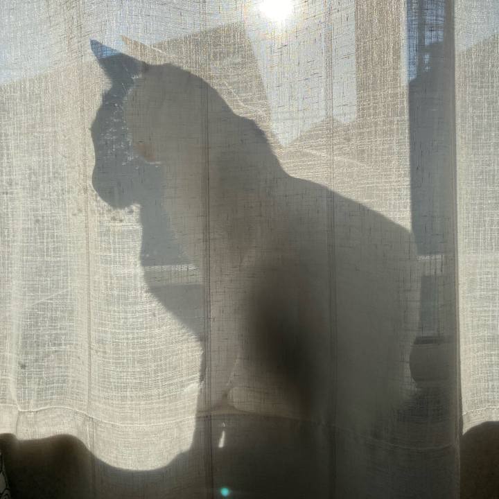 A56231e7 a0e5 4be6 8bb0 0e939096e858 1710154747149