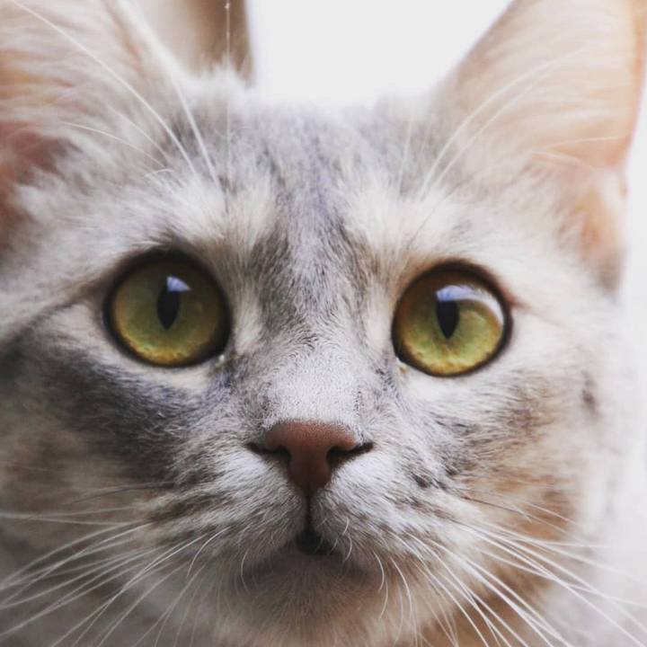 A56266e0 f4f0 490b 96ac cf0411962da0 1531725092408