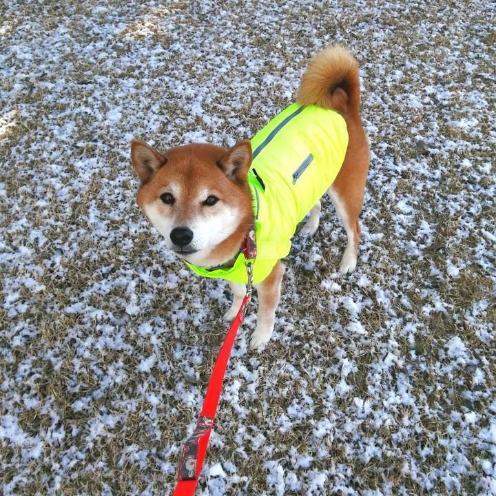 A5626741 8e44 4c93 bfe1 510de120954e 1674875891167