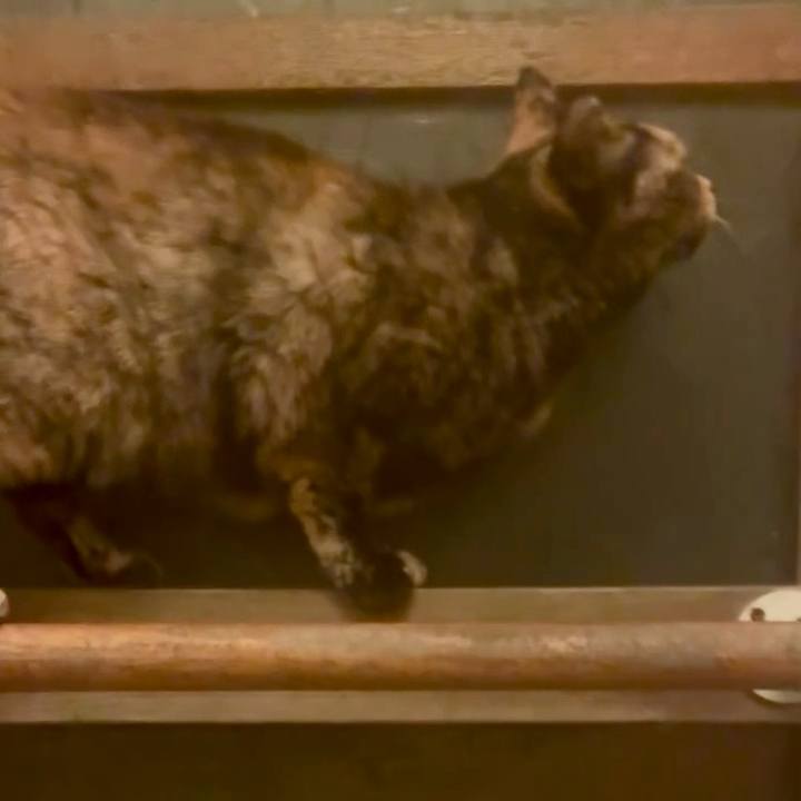 A562b163 49b1 4bcb 8a65 564dc62abe7c 1766956382611