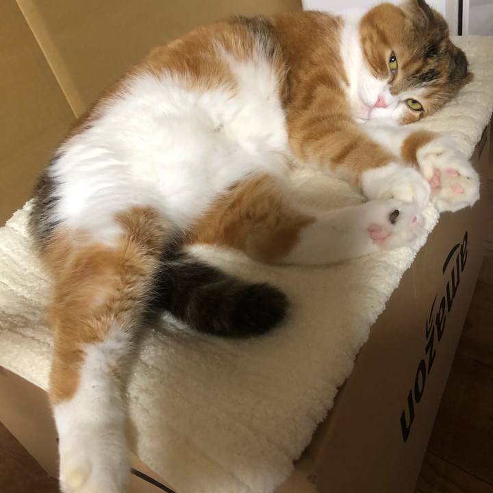 A562cde0 e7f0 40e3 a7fe d5e35ba0076e 1572103475750