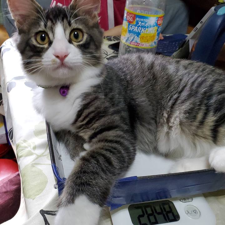 A562ce3c c49e 48ad 9f30 cf617c77ac90 1632278927677