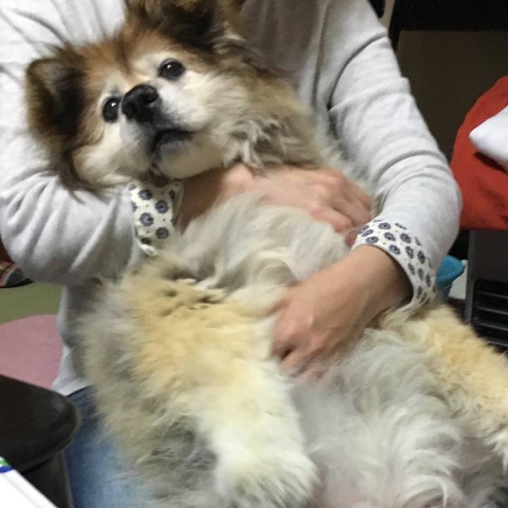 A562d27e 7333 43ce afa4 dd41cebb3656 1578659834995