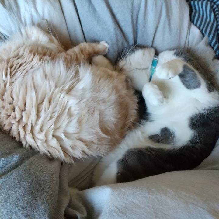 A562d482 78bc 4b03 a953 28b658d9e524 1646524072743