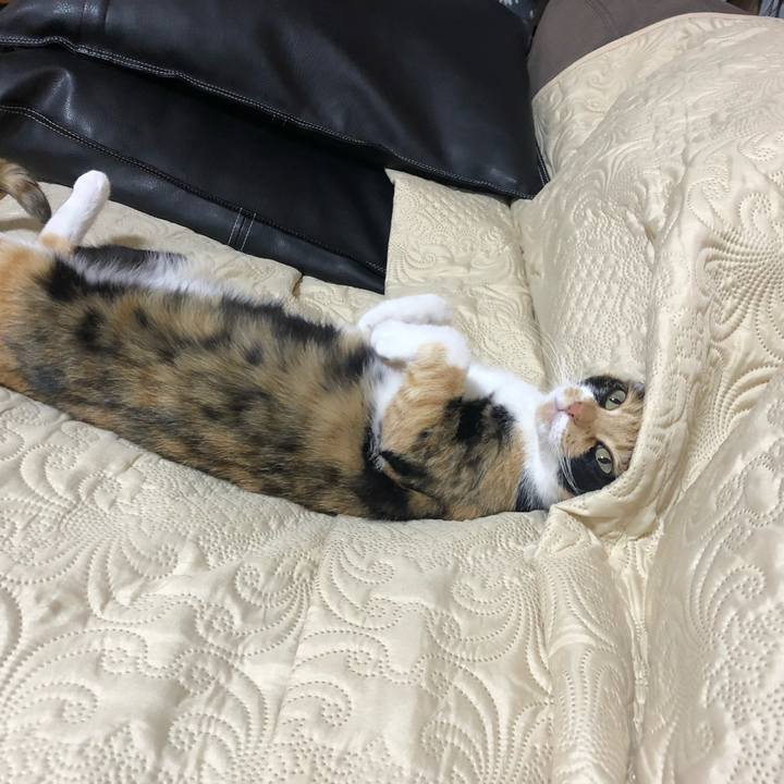 A563262c febf 4cf1 8e2d 1c017c5510c8 1575033095462