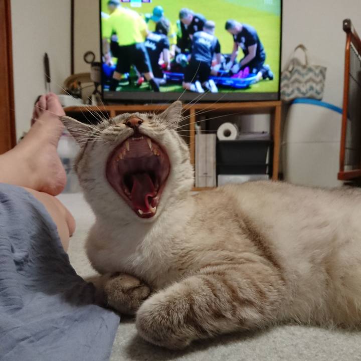 A56334e4 ce24 4024 9e5f f8a669814dc6 1566740745125